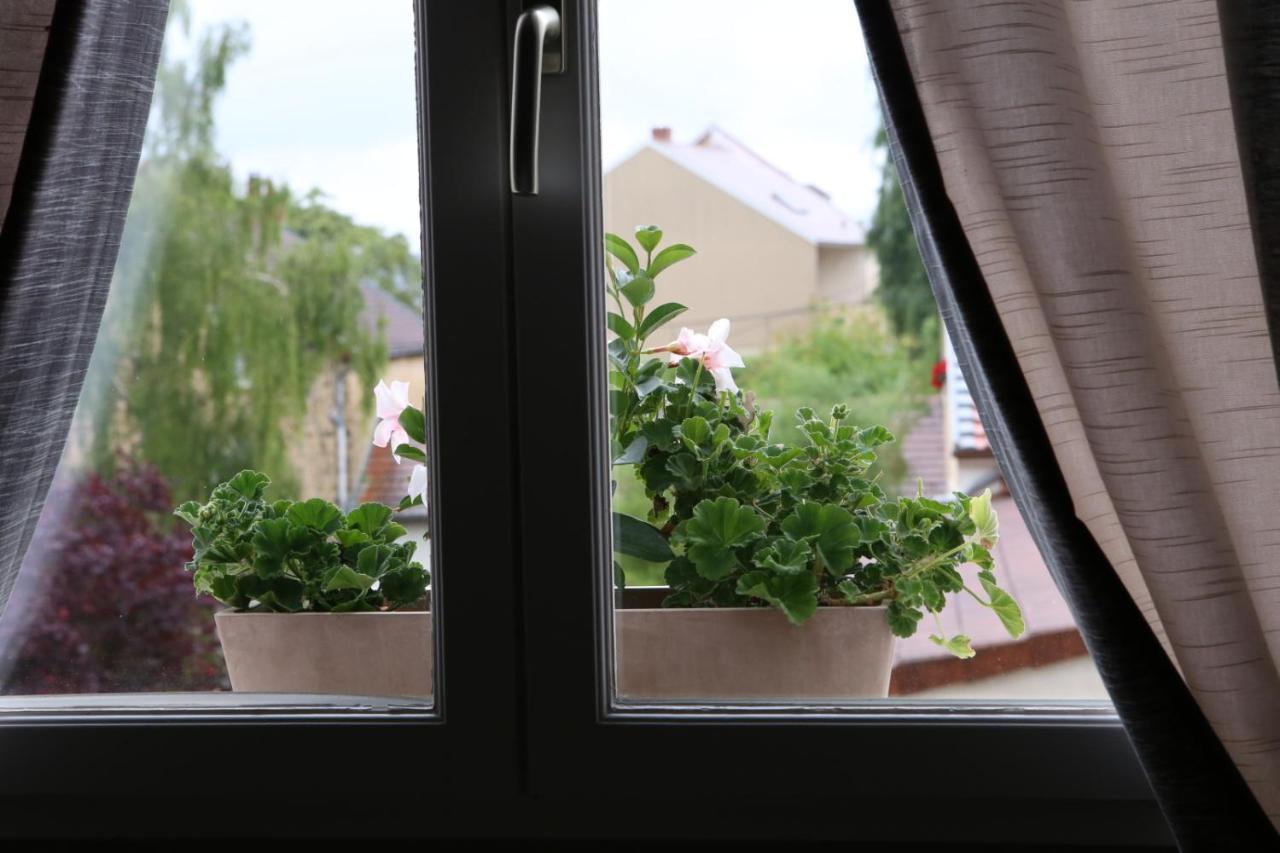 Au Coeur Des Vignes Bed & Breakfast Еперне Екстериор снимка