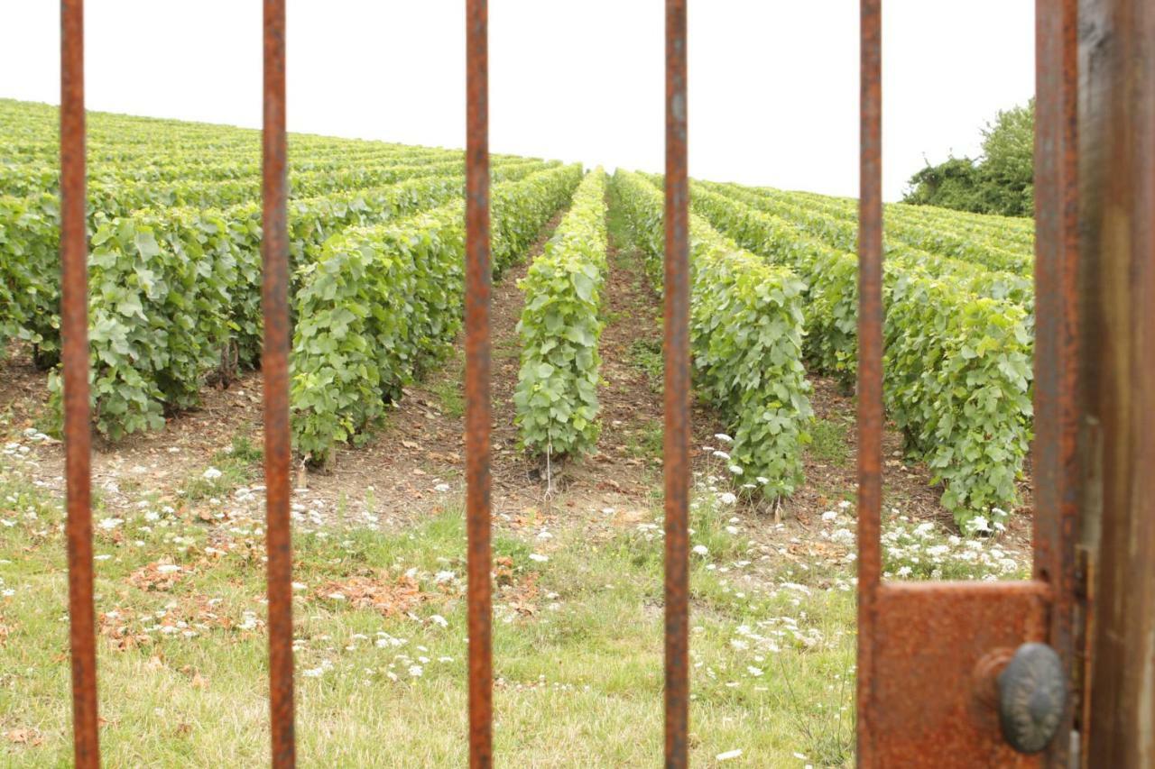 Au Coeur Des Vignes Bed & Breakfast Еперне Екстериор снимка